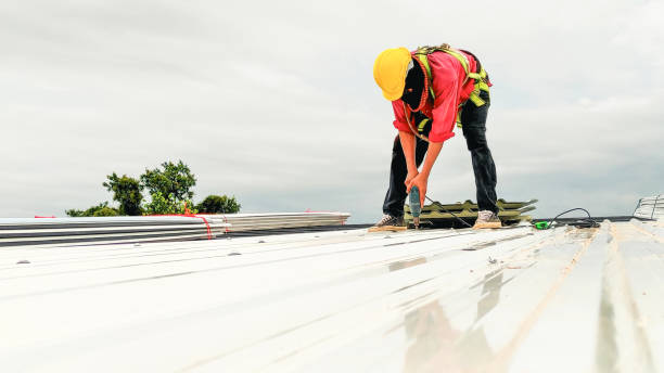 Best Gutter Replacement  in Creighton, NE