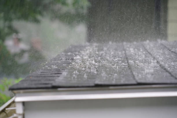 Best Roof Leak Repair  in Creighton, NE