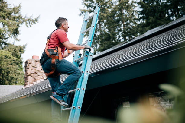 Best Steel Roofing  in Creighton, NE