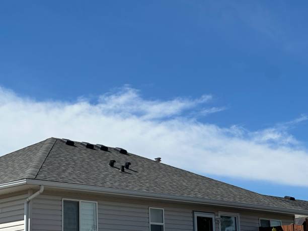 Best Roof Coating and Sealing  in Creighton, NE